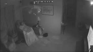 Caméra IP - Vereinigte Staaten von Amerika