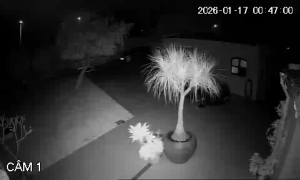 Caméra IP - Portugal