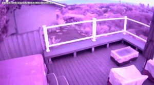 Caméra IP - United States of America