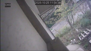 Caméra IP - Giappone