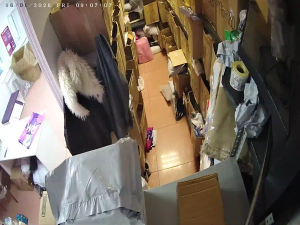 Caméra IP - Russian Federation