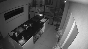 Caméra IP - Paesi Bassi