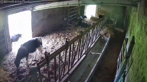 Caméra IP - Spanien