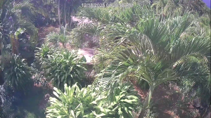 Caméra IP - Virgin Islands, U.S.