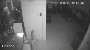 Caméra IP - United States of America