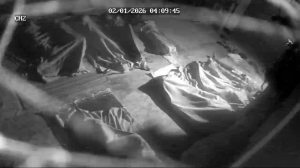 Caméra IP - Bangladesh