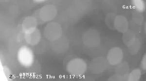 Caméra IP - Ireland