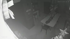 Caméra IP - Malaisie