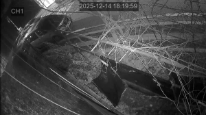 Caméra IP - South Korea