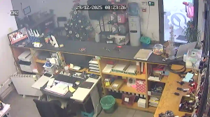 Caméra IP - Portugal