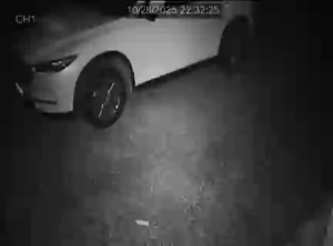 Caméra IP - New Zealand