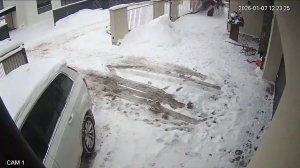 Caméra IP - Lituanie