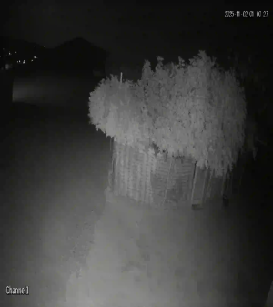 Caméra IP - Marokko