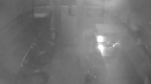 Caméra IP - Vereinigte Staaten von Amerika