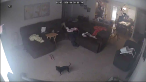 Caméra IP - Vereinigte Staaten von Amerika