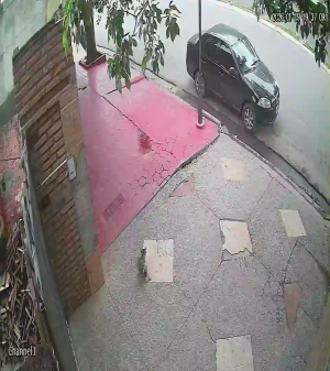 Caméra IP - Argentine