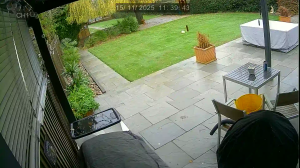 Caméra IP - Royaume-Uni