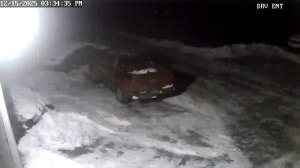 Caméra IP - United States of America