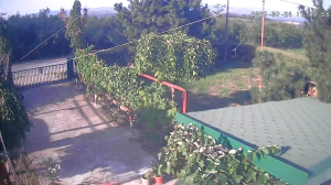 Caméra IP - Serbia