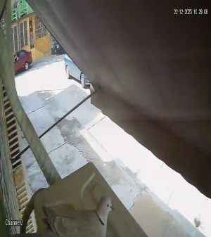 Caméra IP - México