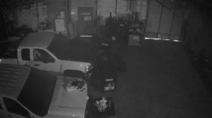 Caméra IP - Stati Uniti d'America