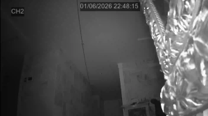 Caméra IP - South Korea