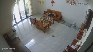 Caméra IP - Vietnam