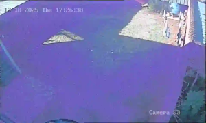 Caméra IP - Paraguay