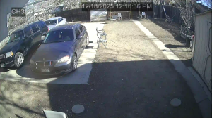 Caméra IP - Vereinigte Staaten von Amerika