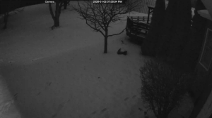 Caméra IP - United States of America