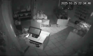 Caméra IP - Francia