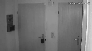 Caméra IP - Germany