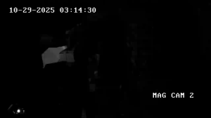 Caméra IP - Países Bajos