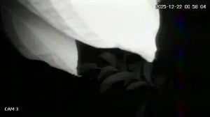 Caméra IP - Brasilien