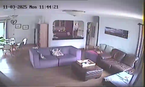 Caméra IP - South Africa