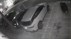 Caméra IP - Mexiko