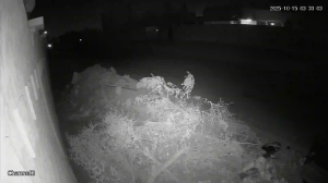 Caméra IP - United Arab Emirates