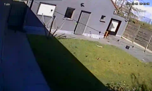 Caméra IP - Belgien