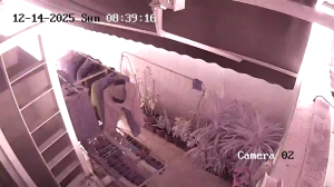 Caméra IP - Singapore