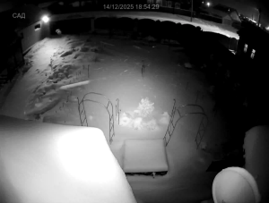 Caméra IP - Russian Federation