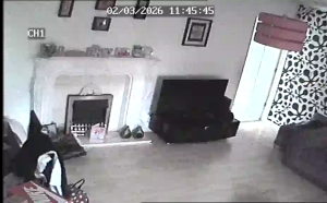 Caméra IP - Regno Unito