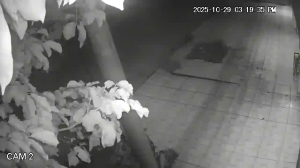 Caméra IP - Bolivia