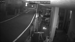 Caméra IP - Giappone