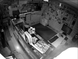 Caméra IP - Francia