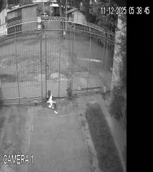 Caméra IP - Paraguay