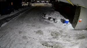 Caméra IP - Russian Federation