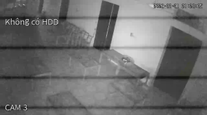 Caméra IP - Vietnam