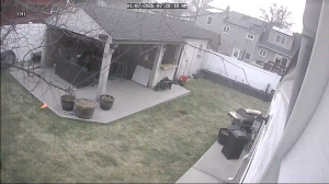 Caméra IP - United States of America