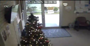 Caméra IP - Estados Unidos