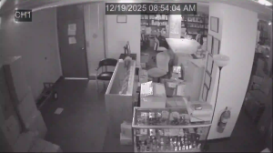 Caméra IP - Estados Unidos